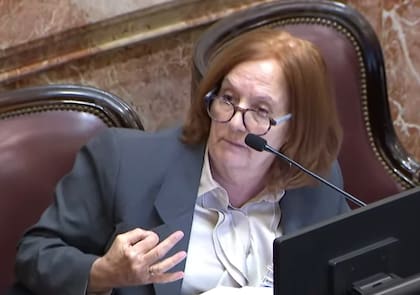 La legisladora tildó el proyecto de ley de "mamarracho"