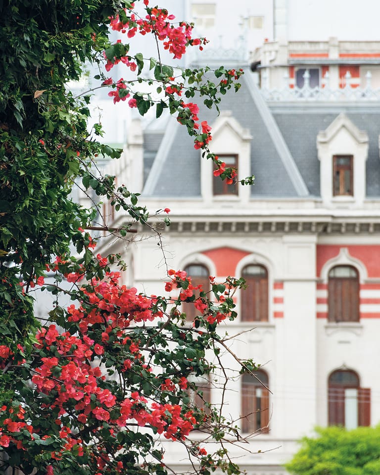La Legislatura declara de Interés Cultural el libro Buenos Aires en flor. Arquitectura y paisaje en la ciudad, de la fotógrafa Karina Azaretzky y el arquitecto y paisajista Jorge Bayá Casal
