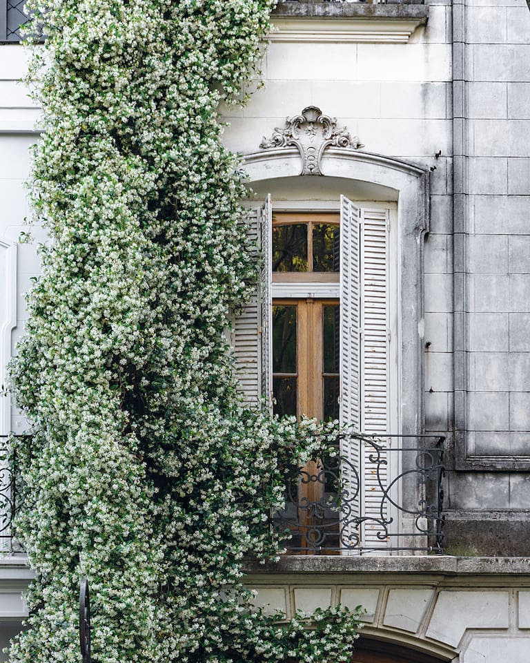 La Legislatura declara de Interés Cultural el libro Buenos Aires en flor. Arquitectura y paisaje en la ciudad, de la fotógrafa Karina Azaretzky y el arquitecto y paisajista Jorge Bayá Casal