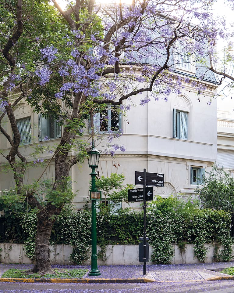 La Legislatura declara de Interés Cultural el libro Buenos Aires en flor. Arquitectura y paisaje en la ciudad, de la fotógrafa Karina Azaretzky y el arquitecto y paisajista Jorge Bayá Casal