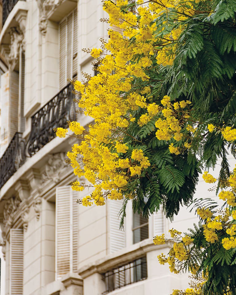 La Legislatura declara de Interés Cultural el libro Buenos Aires en flor. Arquitectura y paisaje en la ciudad, de la fotógrafa Karina Azaretzky y el arquitecto y paisajista Jorge Bayá Casal