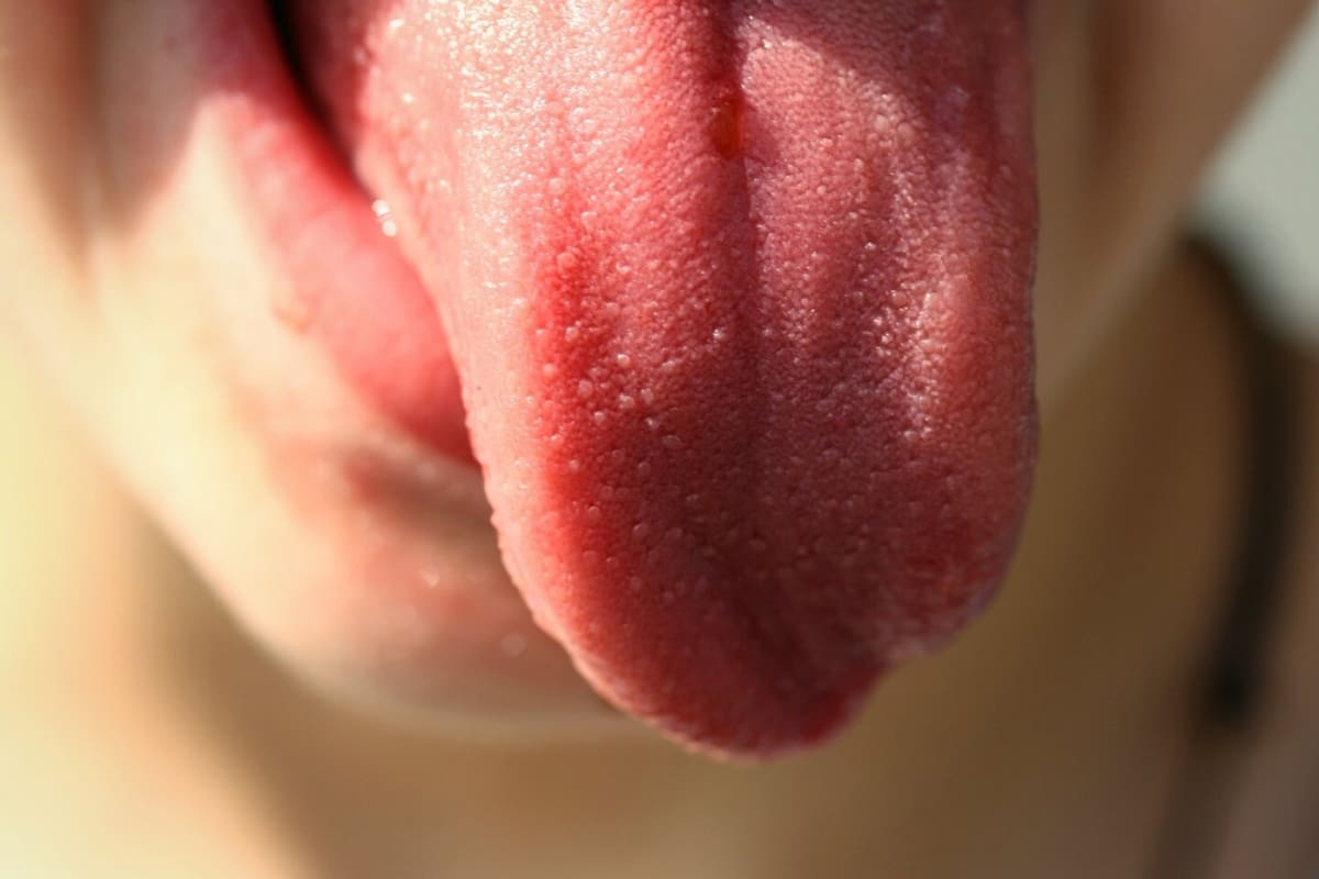 La lengua desempeña un papel fundamental en nuestra salud general