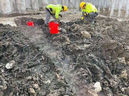 La letrina será considerada un yacimiento bajo investigación para determinar quiénes vivieron allí hace 700 años