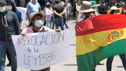La ley 1386 es cuestionada por los trabajadores informales.