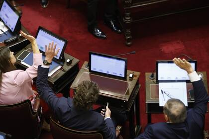 La ley antilavado se aprobó en la última sesión del Senado, en la que también se rechazó el DNU de Milei