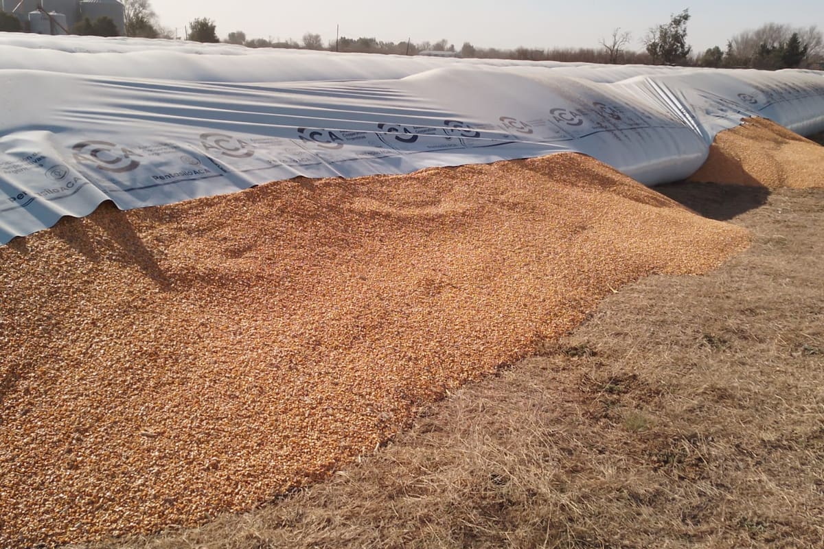 La ley busca evitar diversos delitos rurales