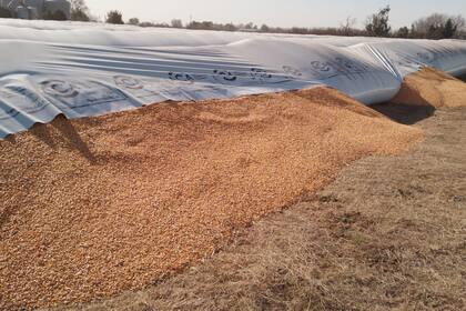 La ley busca evitar diversos delitos rurales