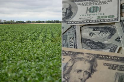 La ley de tierras limitó la tenencia de extranjeros