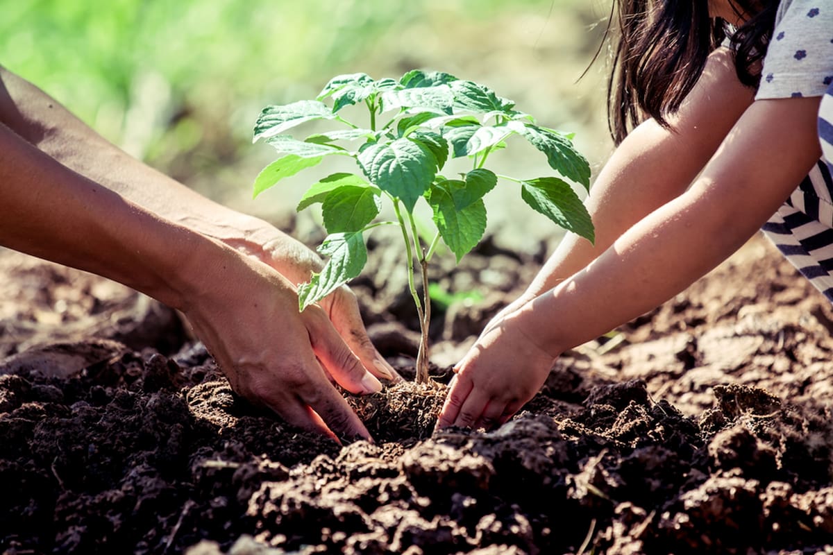 La Ley General del Ambiente data de 2002 y desde entonces estipula la necesidad de “promover cambios en los valores y conductas sociales, a través de una educación ambiental”.