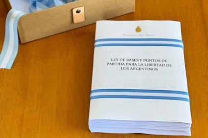 La ley ómnibus obtuvo dictamen en comisiones de la Cámara de Diputados y será tratada en el recinto en los próximos días