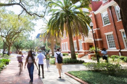 La ley también establece la creación de un curso de seguros y finanzas personales en el sistema educativo público de Florida