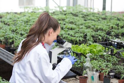 La ley vincula a las empresas con la investigación