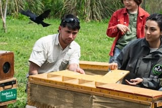 Lograron recuperar 88 aves del tráfico clandestino y las liberaron de forma masiva en Zárate