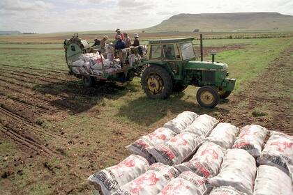 La licencia de uso del evento será de la firma Tecnoplant (subsidiaria del grupo Sidus).