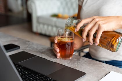 La licenciada Linda Jungwirth sostiene que la kombucha fortalece las comunidades de bacterias beneficiosas del microbioma