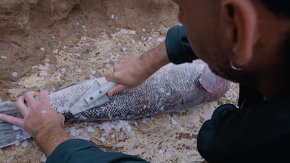 La limpieza de cada pescado se hace en la orilla porque al lavarlos con agua de mar la conservación es mucho mejor que si toca el agua dulce.