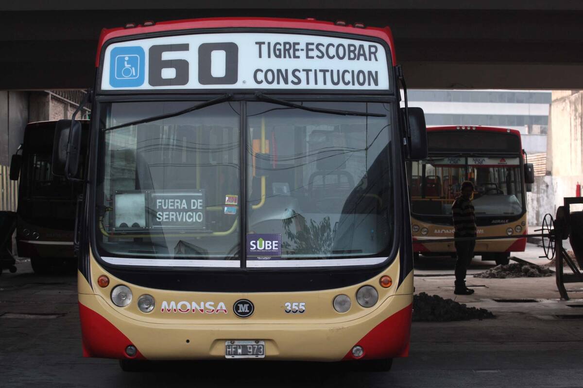 La línea 60 eliminará 12 rutas: cuáles son los siete recorridos que mantiene