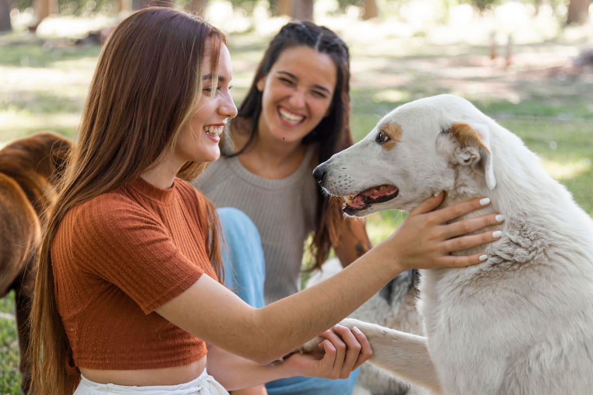 La lista de razas poco recomendadas para quienes adoptan por primera vez