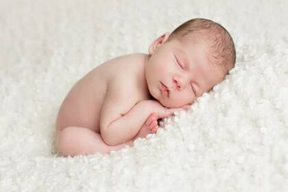 La llamada grasa parda es la responsable de la producción de calor en los bebés y en los mamíferos que hibernan