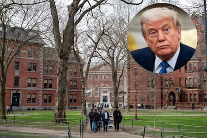 La llegada de estudiantes internacionales a EE.UU. disminuyó un 19% durante el inicio de la administración Trump