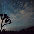 Cuándo será la lluvia de estrellas de agosto y desde dónde podrá verse