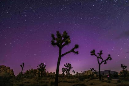 La lluvia de meteoros Perseidas se desarrollará durante la noche del miércoles 12 de agosto