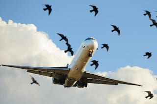 ¿Un aeropuerto para Rocha o para un mes de temporada?
