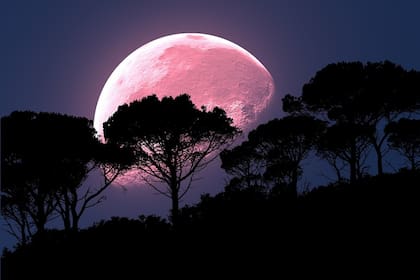 La luna de fresa debe su nombre a que en el hemisferio norte comienza la época de cosecha de frutillas.