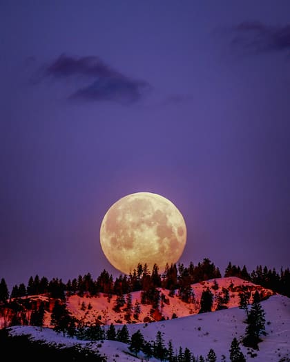 La Luna Fría de diciembre de 2025 es la más alta en el cielo hasta diciembre de 2042 (Pexels/Frank Cone)