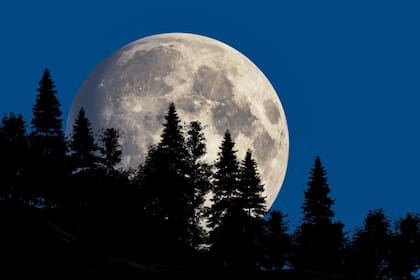 La Luna Fría de diciembre es una de las tres Superlunas del año, llamada así por ser de mayor tamaño que la Luna Llena habitual (Archivo-Unsplash/Igor Omilaev)