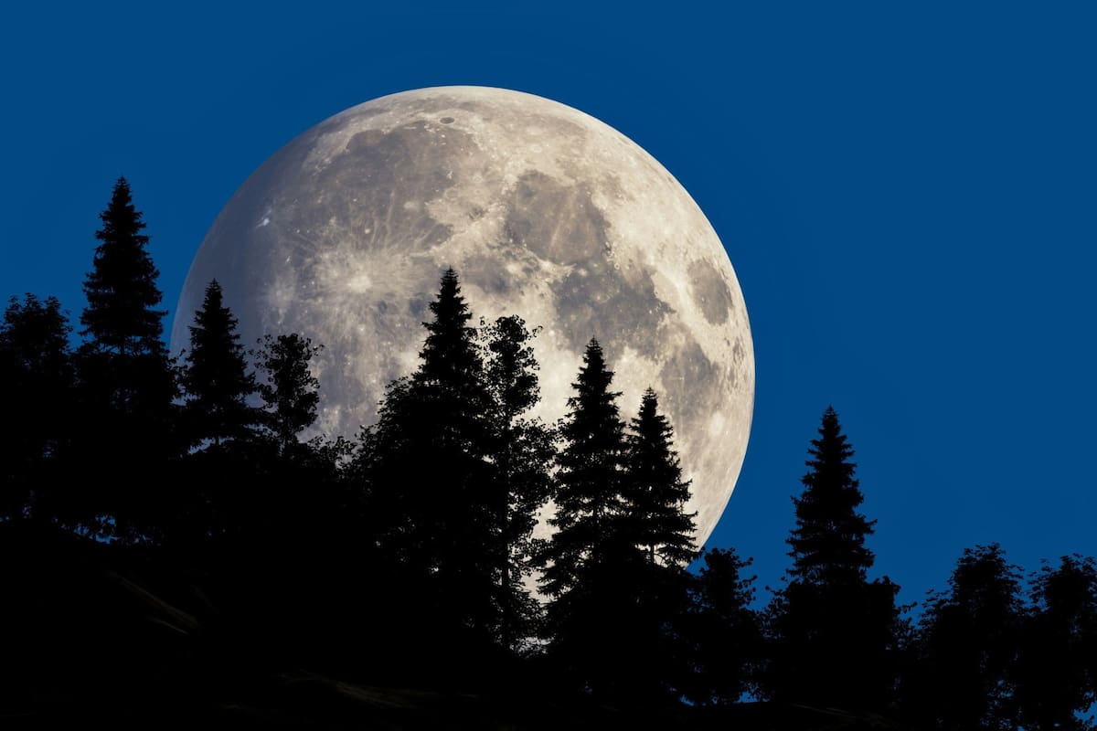 La Luna llena de diciembre será la tercera y última Superluna que se podrá observar en 2025 (Unsplash/Igor Omilaev)