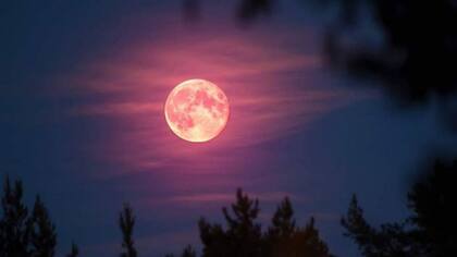 La luna llena de fresa se llama así porque coincide con la etapa de cosecha de las fresas silvestres