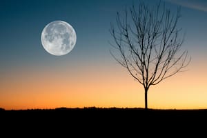 La Luna llena de hoy a la noche se la denomina "de las flores"