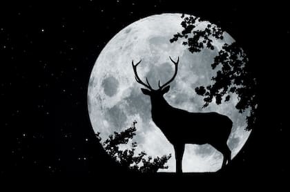 La Luna llena de julio es conocida como la "Luna del Ciervo"