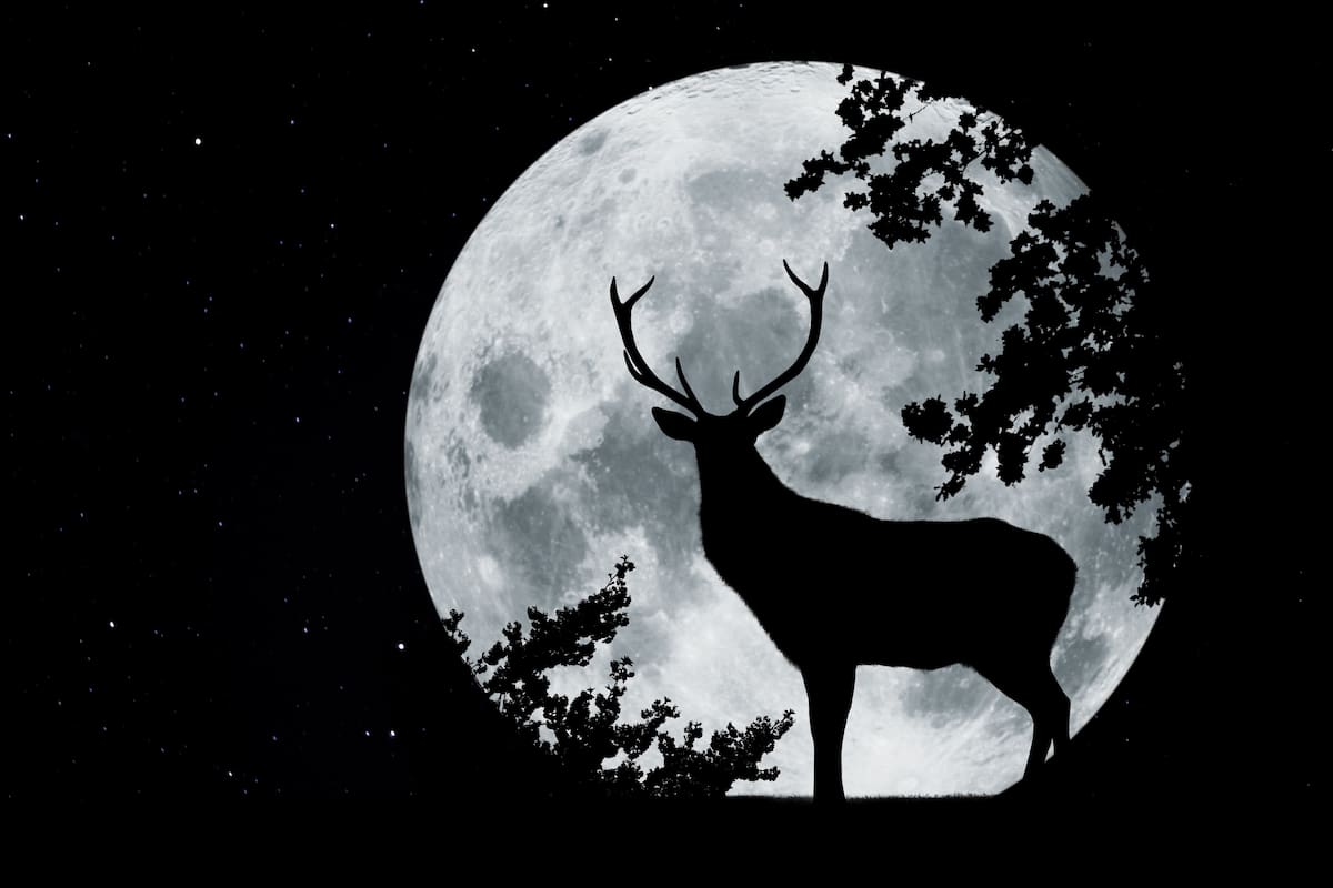 La Luna llena de julio se conoce como Luna del Ciervo
