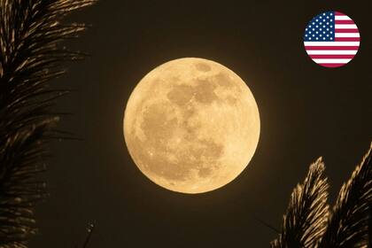 La luna llena de septiembre ocurrirá en la primera semana del mes (Unsplash/Alexis Antonio)