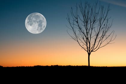 La Luna llena en diciembre será a mediados de mes