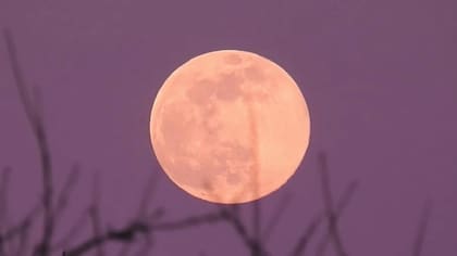 La Luna rosa altera los sentidos para vivir nuevas experiencias