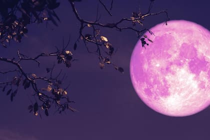 La Luna Rosa, como se conoce la fase llena de abril, es este martes 23 de abril