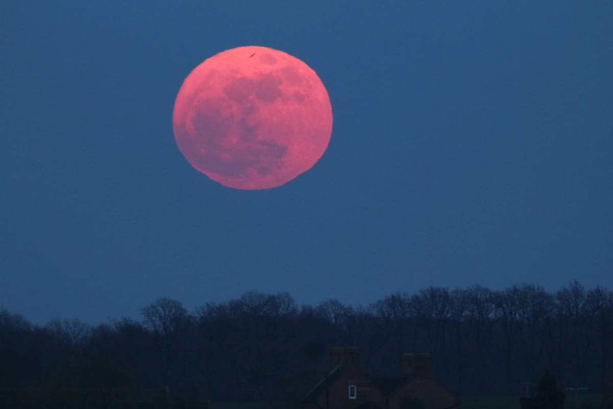La Luna rosa en Escorpio será un fenómeno que traerá importantes cambios