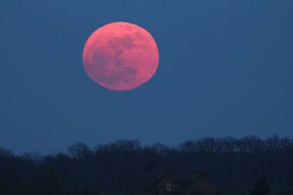La Luna rosa en Escorpio será un fenómeno que traerá importantes cambios