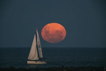 La "Luna rosa" en Mar del Plata (Foto: Twitter @munimardelplata)