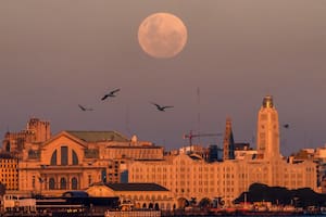 La fórmula que Uruguay estudia para resistir un pedido incómodo de Trump