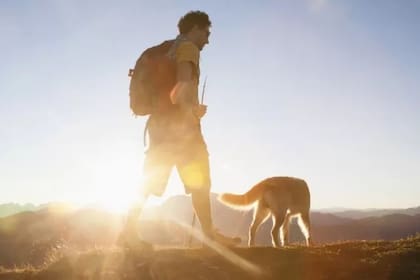 La luz de la mañana reduce "de inmediato" nos produce la clara sensación de que estamos despiertos