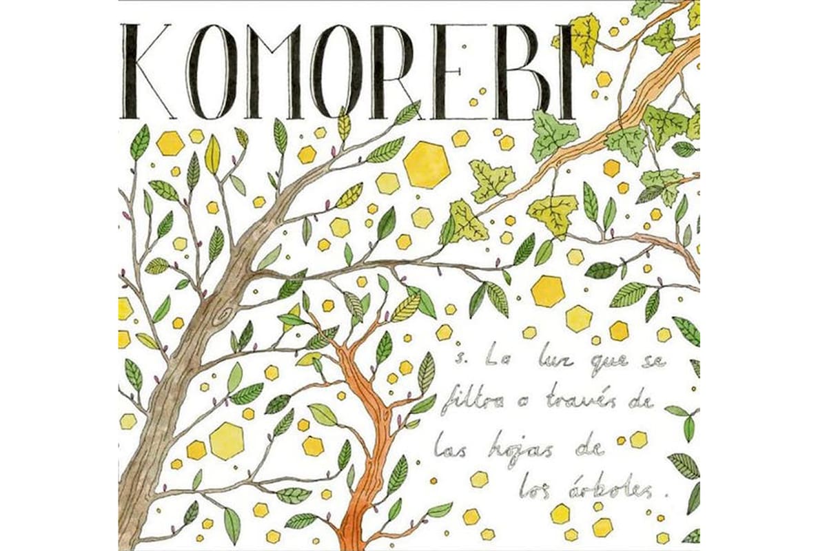 “La luz que llega a través de las hojas de los árboles”