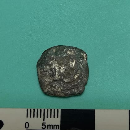 La macuquina de plata hallada