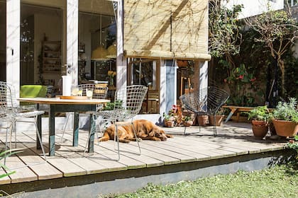 Tilo duerme su siesta al sol sobre el deck que hicieron los dueños con madera tratada para exterior, opción resistente y económica. El espacio está ambientado con macetas y una mesita con sillas Bertoia.