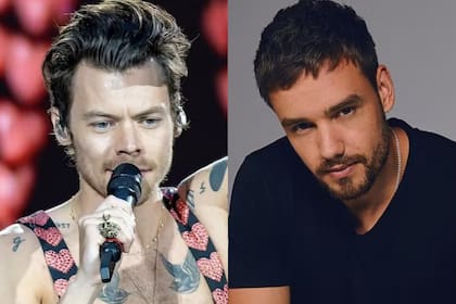 La madre de Harry Styles compartió un emotivo posteo para despedir a Liam Payne (Foto: Archivo / Instagram @beautyinsideout.v)