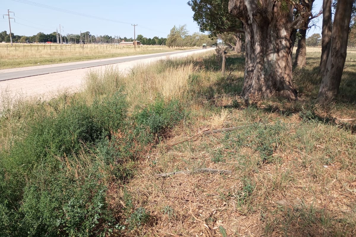 La madrugada del viernes el tambo quedó al borde de una tragedia