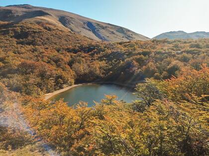 La magia de los bosques de lenga del Valle del Challhuaco.